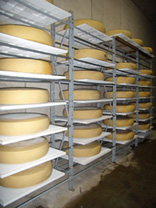Cheese Rack Stackable