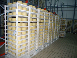 Pecorino Cheese Store