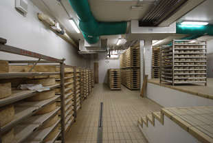 Cheese Storage Systems