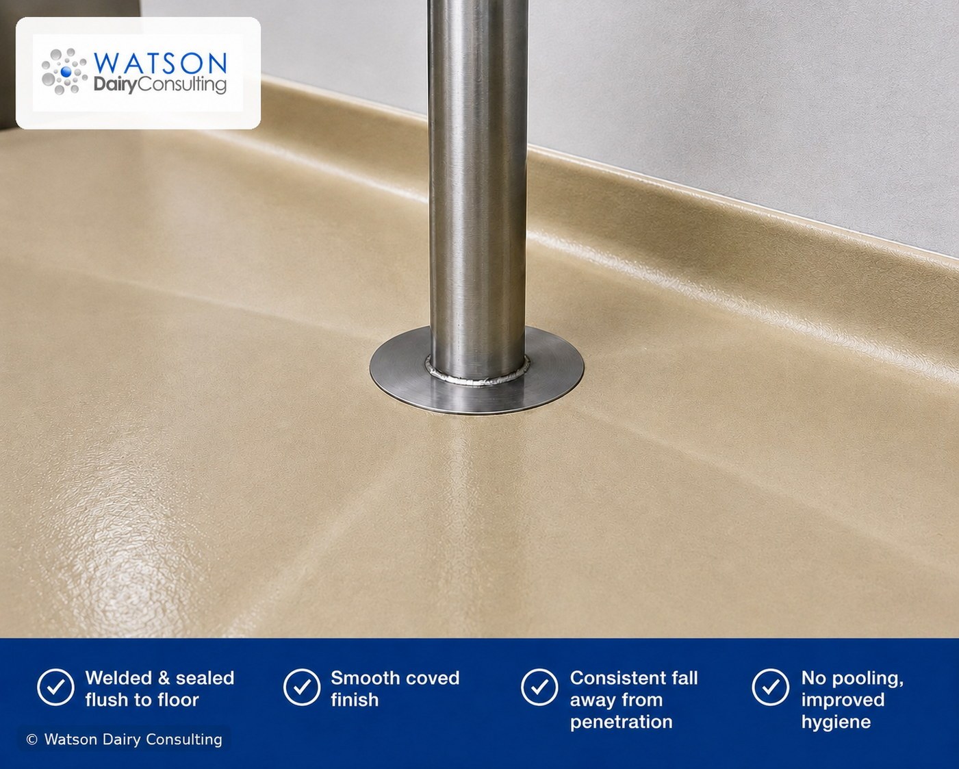 Dairy factory hygienic floor drain design - welded pipe penetration, coved finish, consistent fall, no pooling