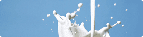 uht milk